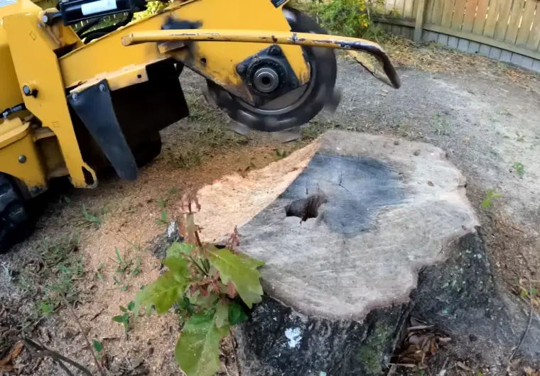 Stump Grinding Minnetonka